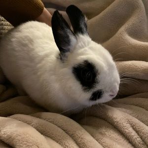 Meet your Posher, Kelly